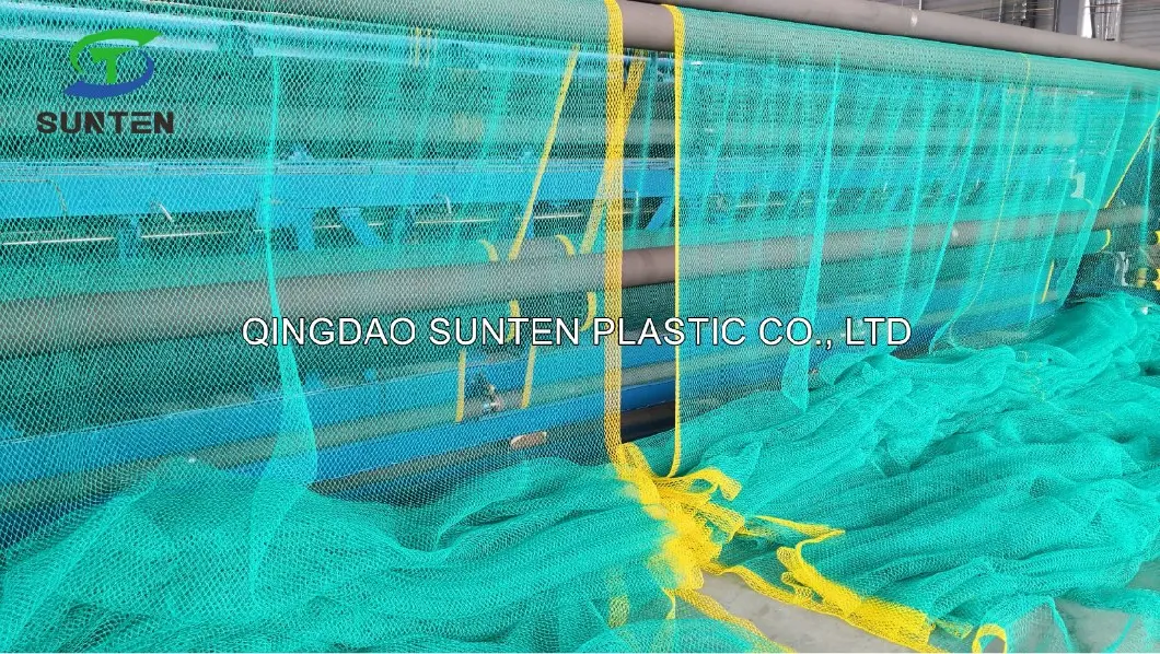 Nylon/PE/PP/Polyester/Plastic/Knotless/Knotted Scaffold/Scaffolding/Building Construction/Debris/Trailer Cargo/Sports/Playground/Anti Falling Safety Catch Net